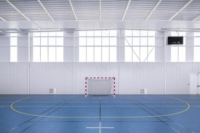 干货 你知道一个完美体育标准手球场的尺寸是多少吗？(图3)