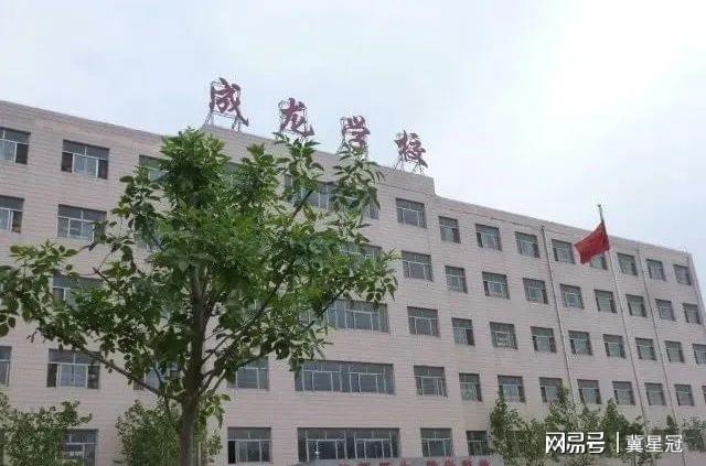 衡水的这所学校火了！为了学生把操场改造成这样子完美体育(图1)