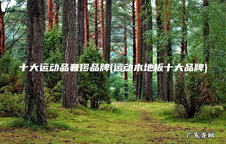 运动木地板十大品牌 十大运动品奢完美体育侈品牌