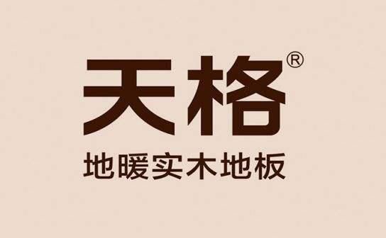 完美体育中国地板影响力十大品牌(图4)