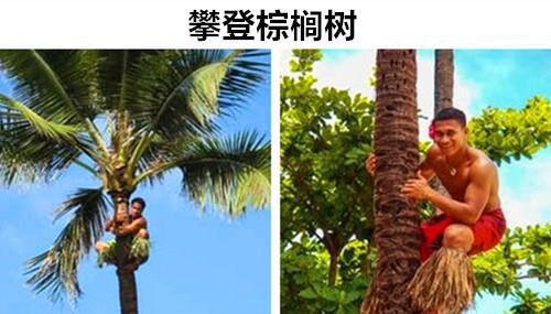 完美体育可能让大多数人都不知晓的世界上8个有趣的怪异运动(图4)